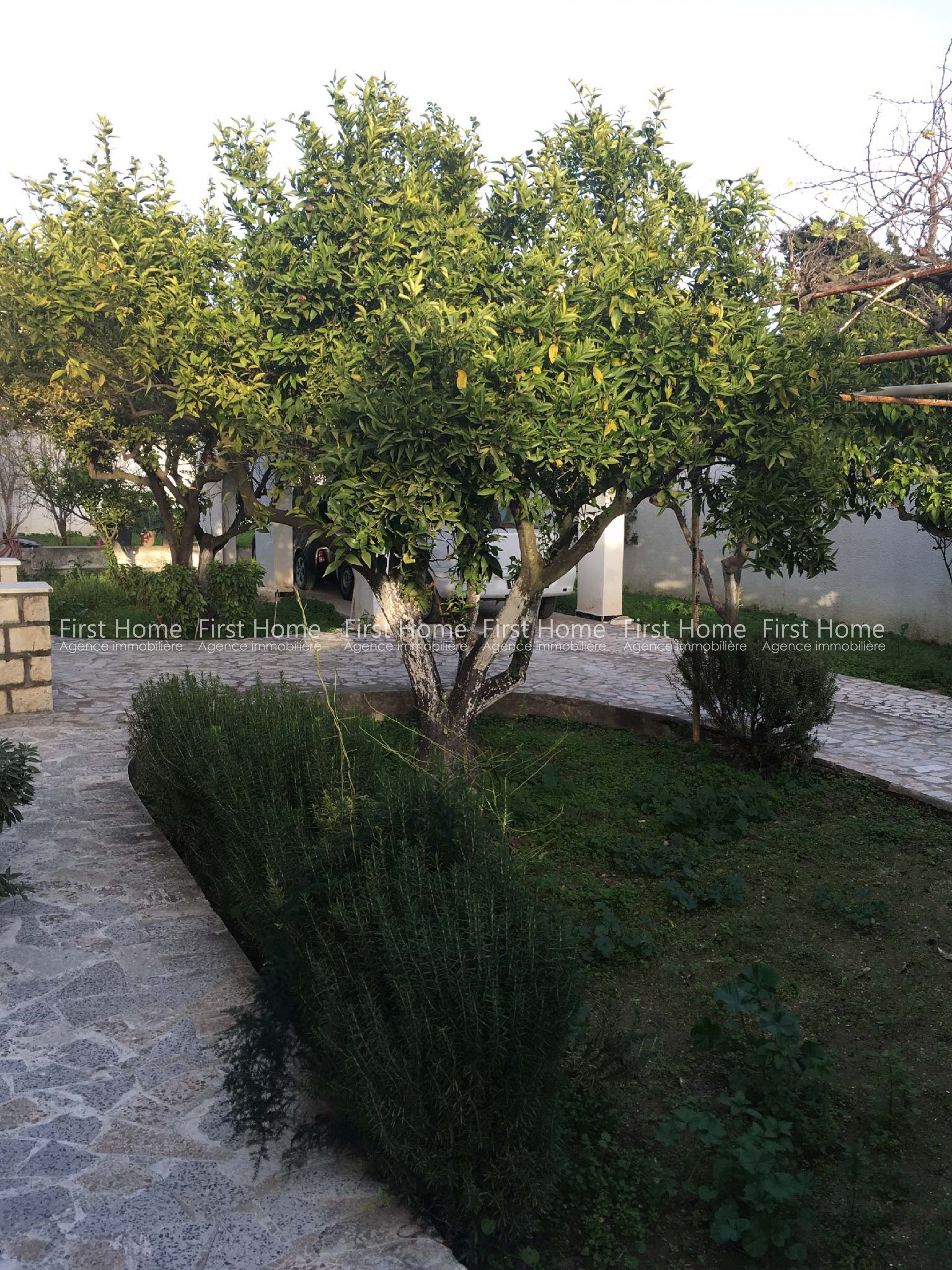 A vendre une villa avec deux studios à Carthage Byrsa